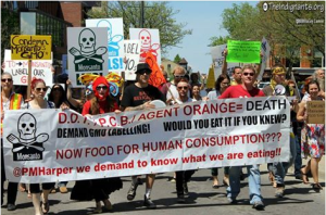 March Against Monsanto 2014